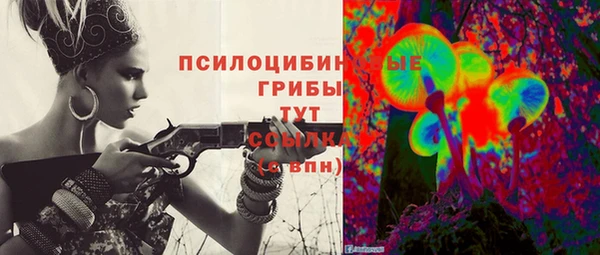 а пвп мука Бородино