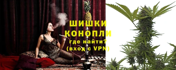 стафф Сосновый Бор