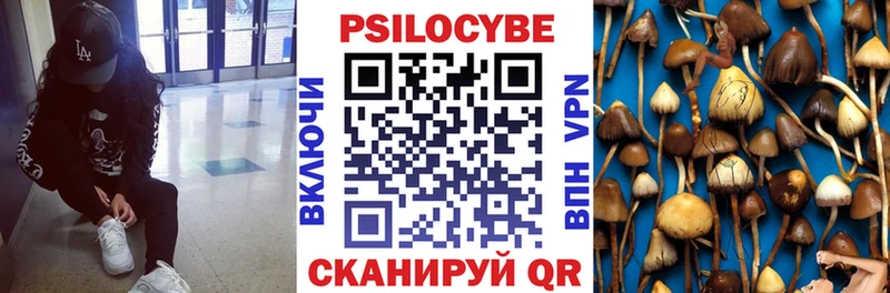 Псилоцибиновые грибы Magic Shrooms  Кочубеевское 